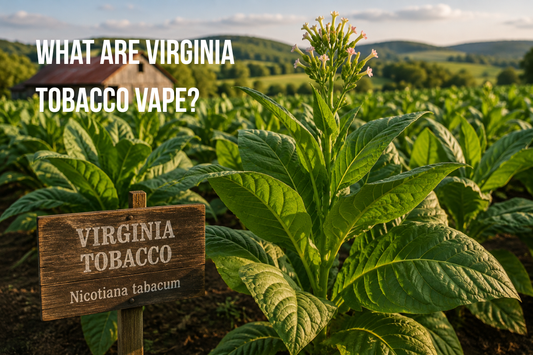 what is virginia tobacco flavor