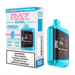 RAZ LTX 25K Blueberry Watermelon Disposable Vape